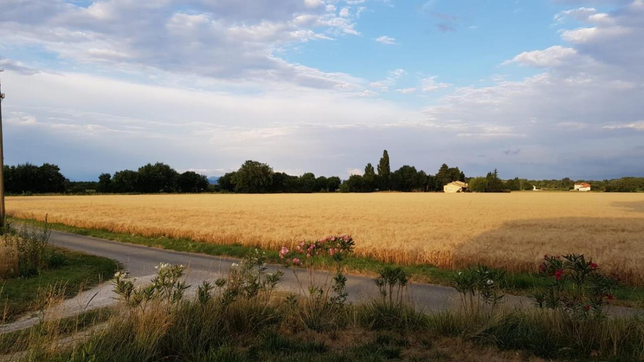 Caderousse Maison Au Calme En Campagne Climatisee מראה חיצוני תמונה